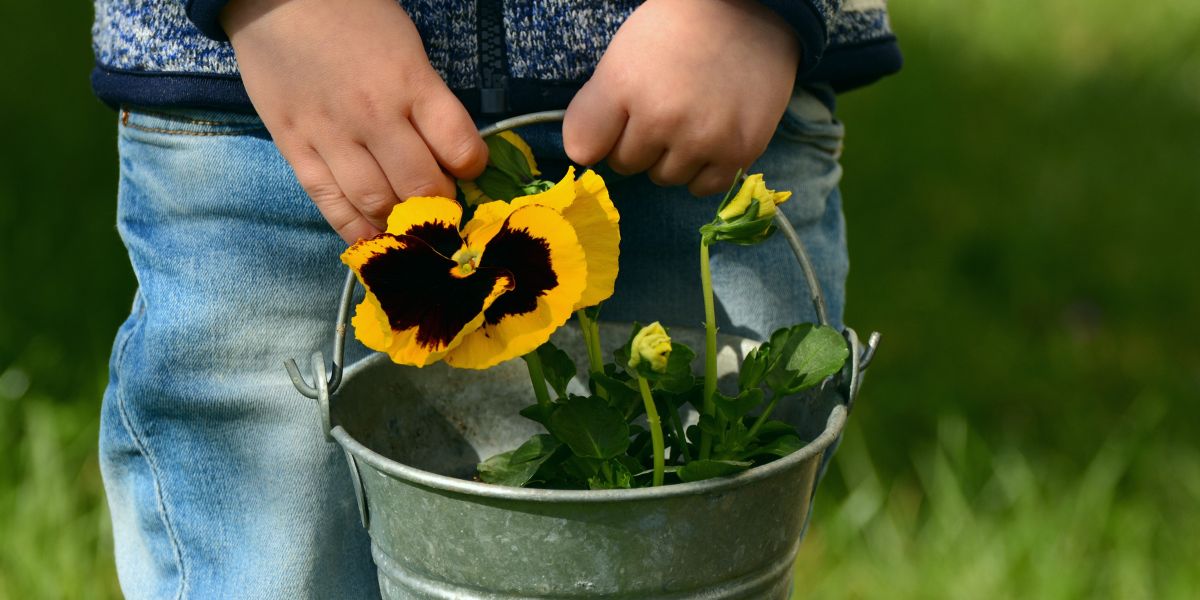 mani di bambino che tengono un vaso di fiori