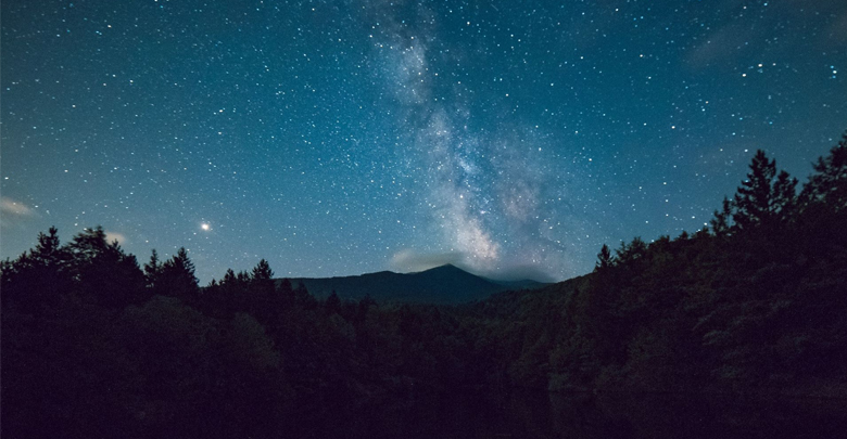 alberi nella notte con cielo stellato